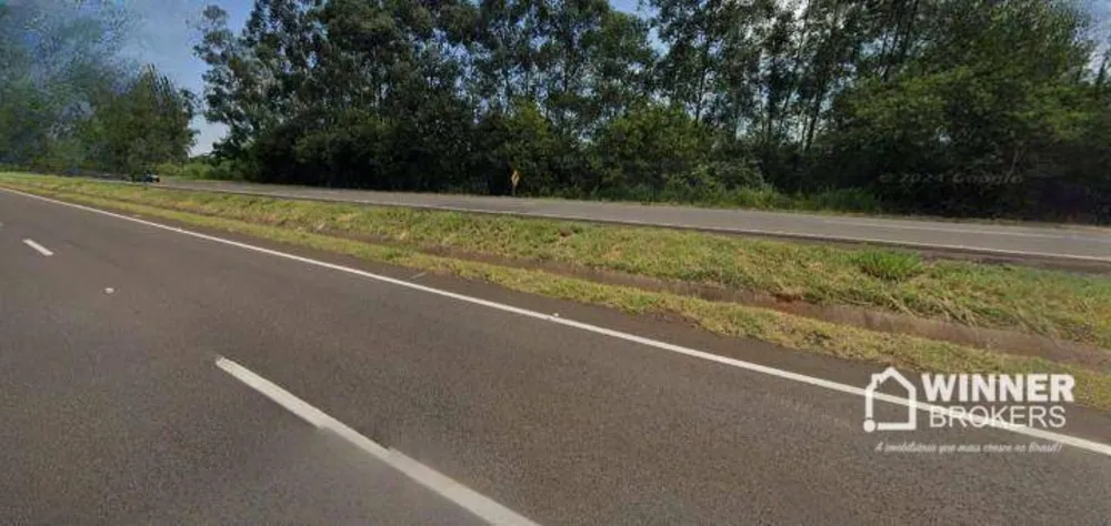 Terreno, 2 hectares - Foto 4