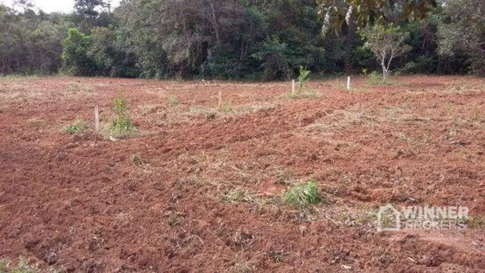 Fazenda, 563 hectares - Foto 10