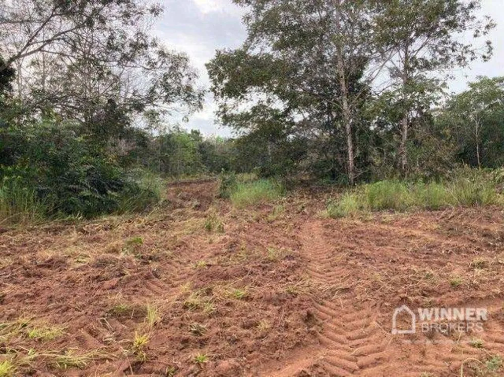 Fazenda, 563 hectares - Foto 6