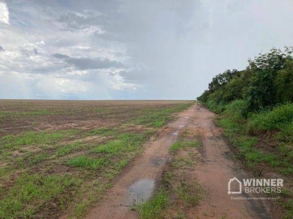Fazenda, 563 hectares - Foto 7