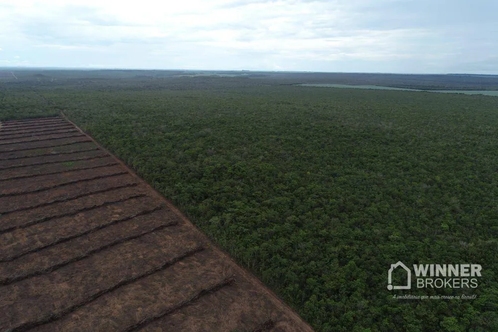 Fazenda, 563 hectares - Foto 4