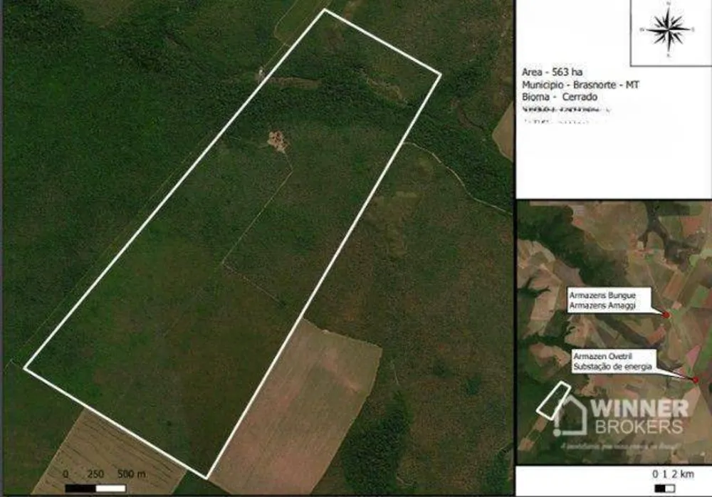 Fazenda, 563 hectares - Foto 12