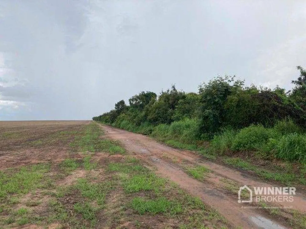 Fazenda, 563 hectares - Foto 9