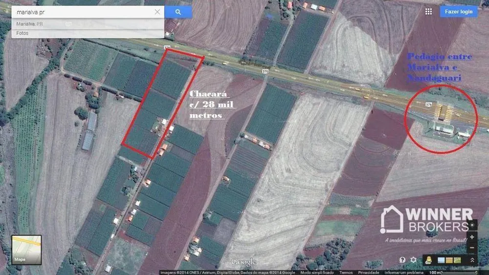 Chácara, 1 quarto, 3 hectares - Foto 4