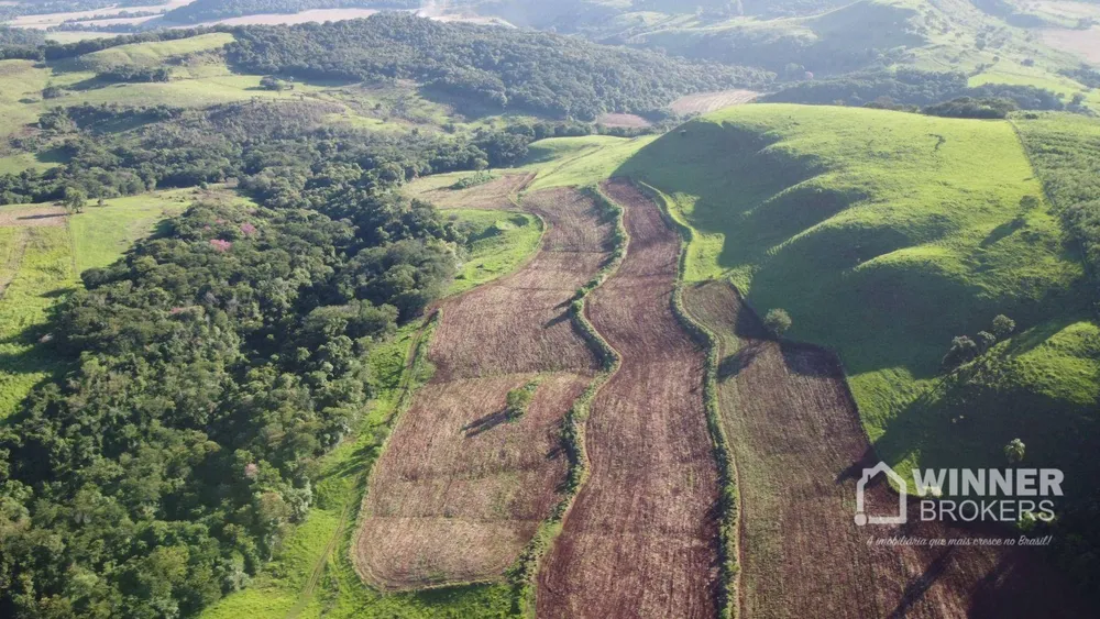 Fazenda, 240 hectares - Foto 3