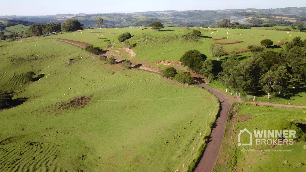 Fazenda, 240 hectares - Foto 6