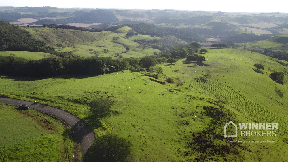 Fazenda, 240 hectares - Foto 7