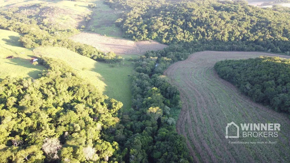 Fazenda, 240 hectares - Foto 4