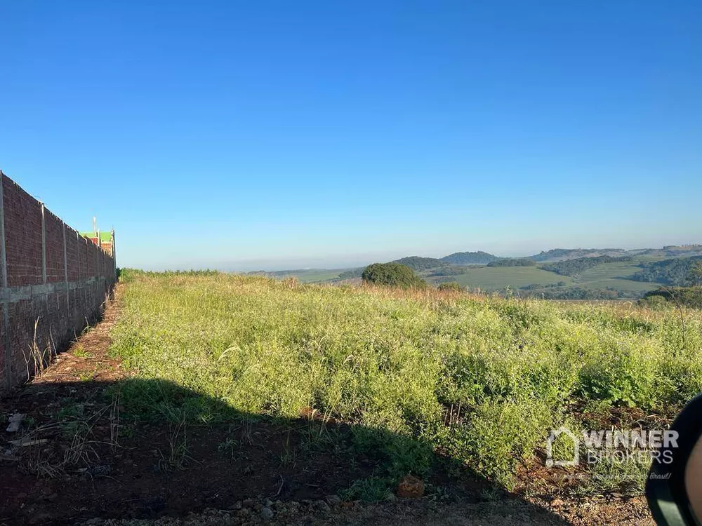 Chácara à venda, 1000M2 - Foto 3