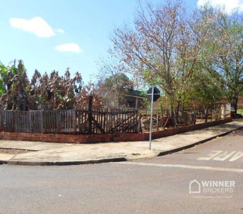 Chácara à venda com 1 quarto, 1000M2 - Foto 2