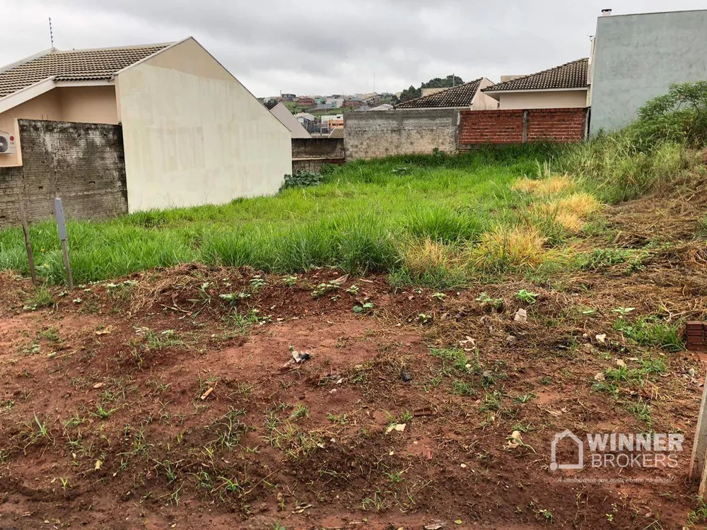 Terreno, 300 m² - Foto 1