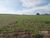 Sítio, 1 quarto, 5 hectares - Foto 2