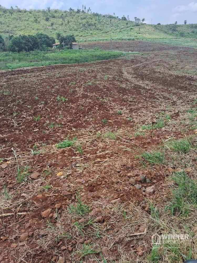 Chácara, 2 quartos, 2 hectares - Foto 11
