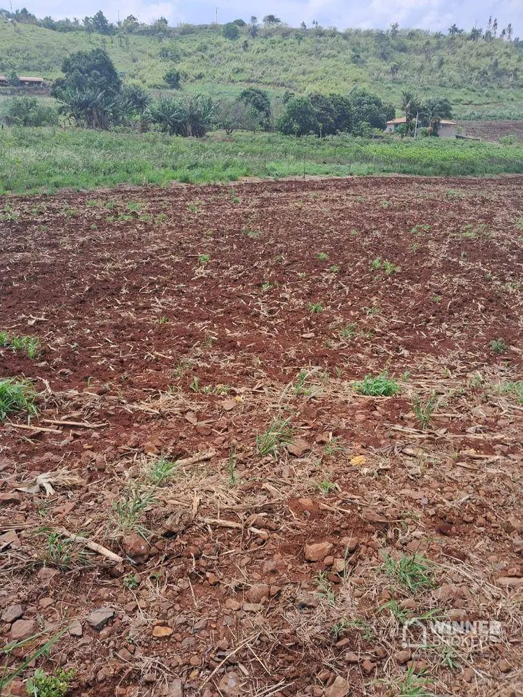 Chácara, 2 quartos, 2 hectares - Foto 12