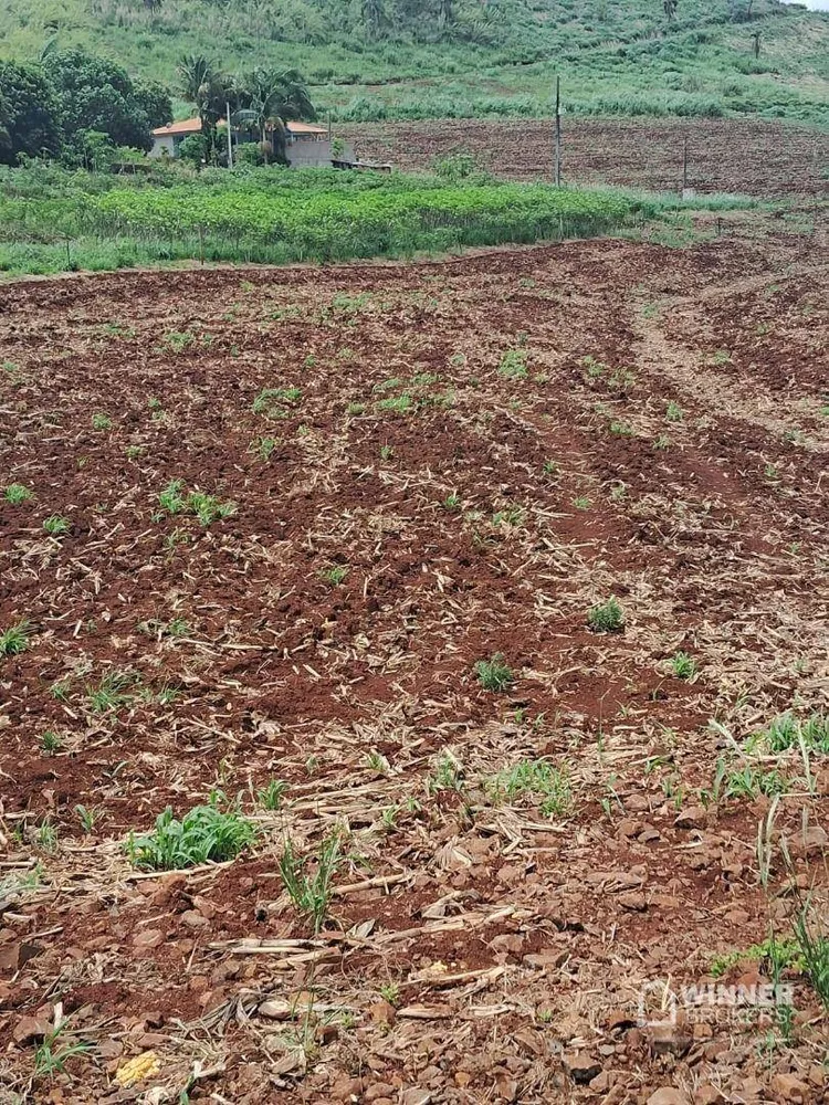 Chácara, 2 quartos, 2 hectares - Foto 10