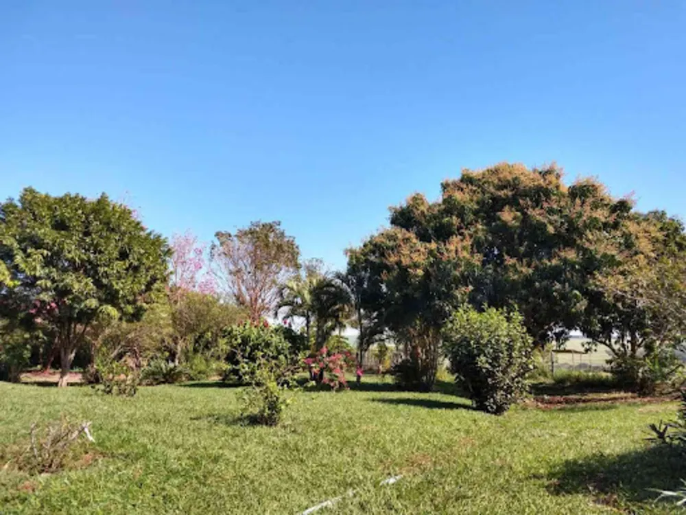 Sítio, 8 quartos, 3 hectares - Foto 4