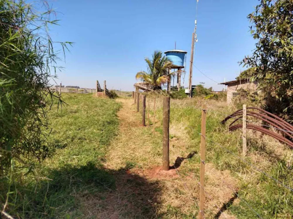 Sítio, 8 quartos, 3 hectares - Foto 7