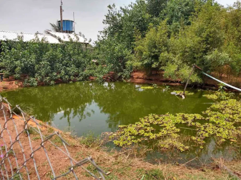 Sítio, 8 quartos, 3 hectares - Foto 12