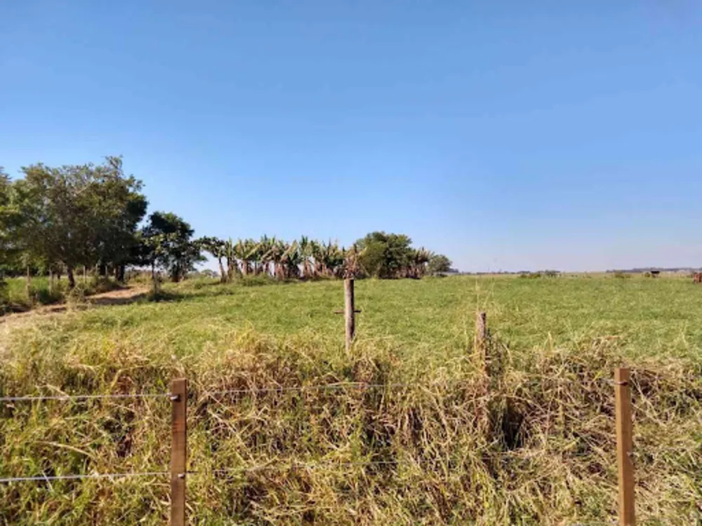 Sítio, 8 quartos, 3 hectares - Foto 11