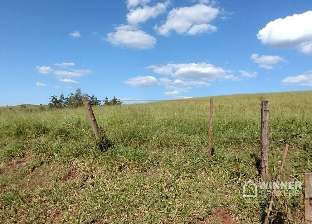 Fazenda, 95 hectares - Foto 8