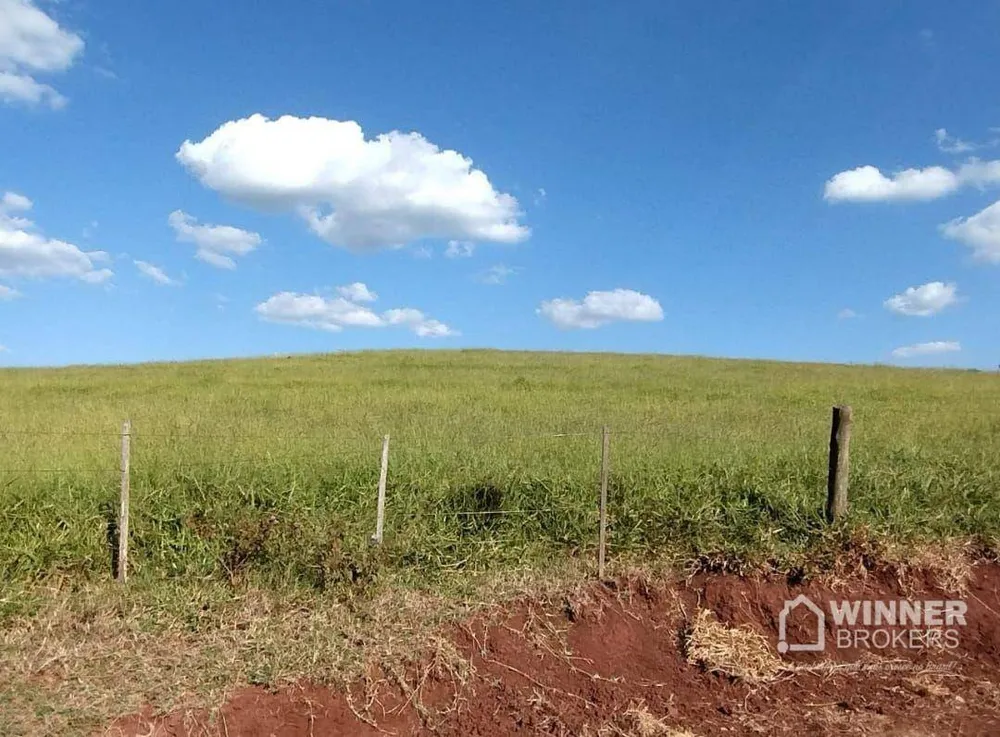 Fazenda, 95 hectares - Foto 6
