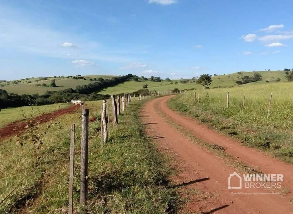 Fazenda, 95 hectares - Foto 1