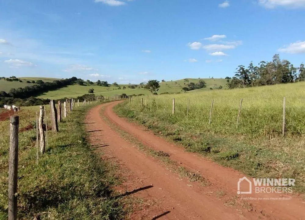 Fazenda, 95 hectares - Foto 9
