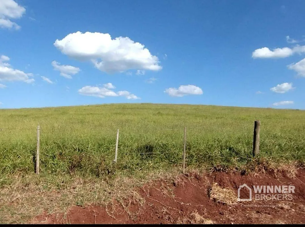 Fazenda, 95 hectares - Foto 5