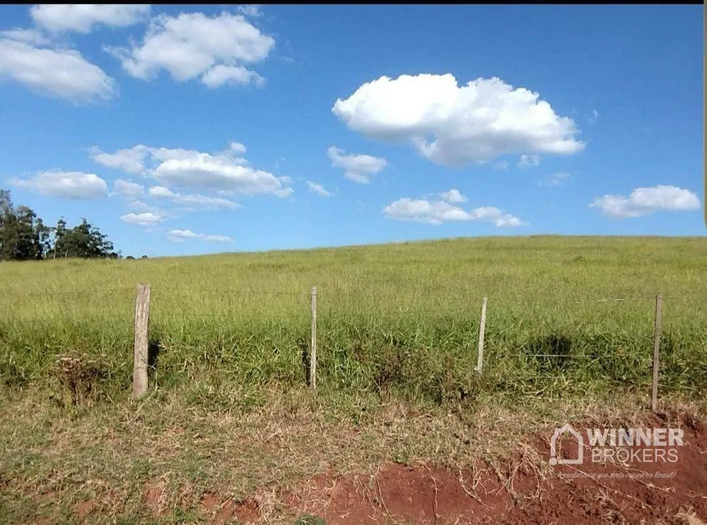 Fazenda, 95 hectares - Foto 2