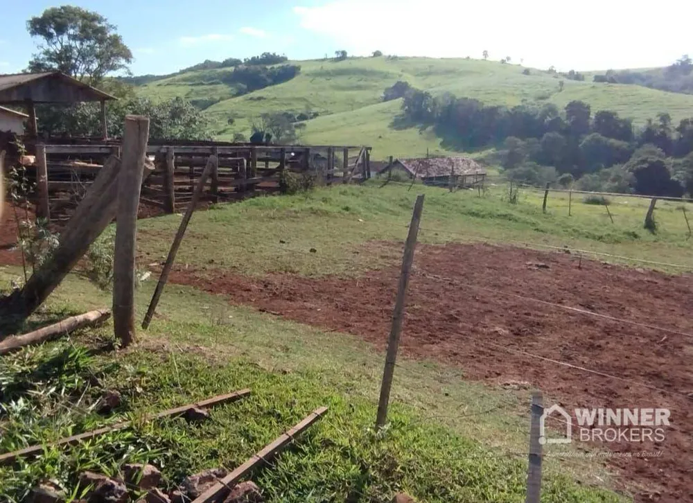 Fazenda, 95 hectares - Foto 11