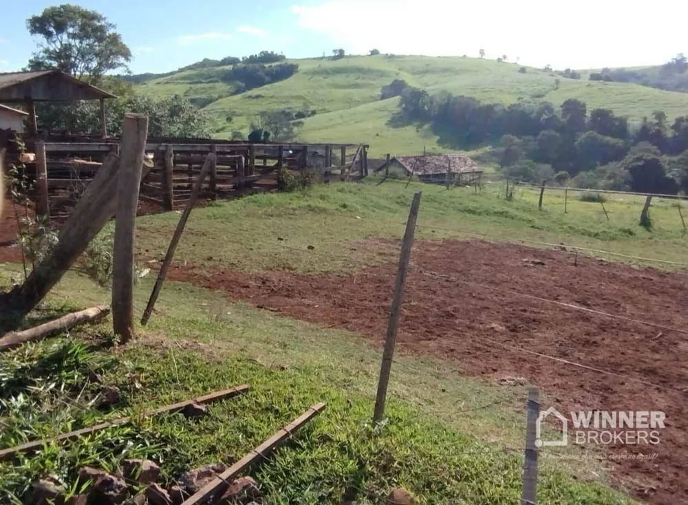 Fazenda, 95 hectares - Foto 7