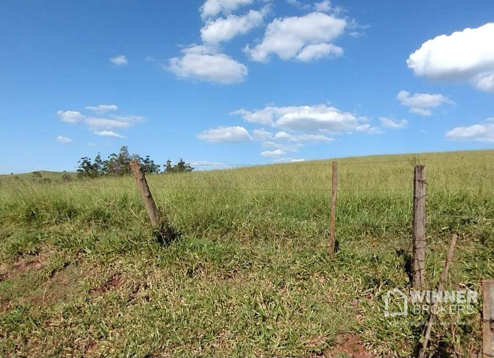 Fazenda, 95 hectares - Foto 3