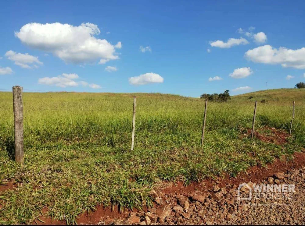 Fazenda, 95 hectares - Foto 12
