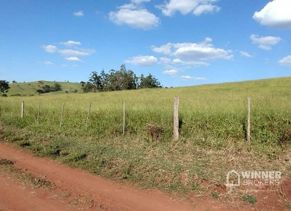 Fazenda, 95 hectares - Foto 10