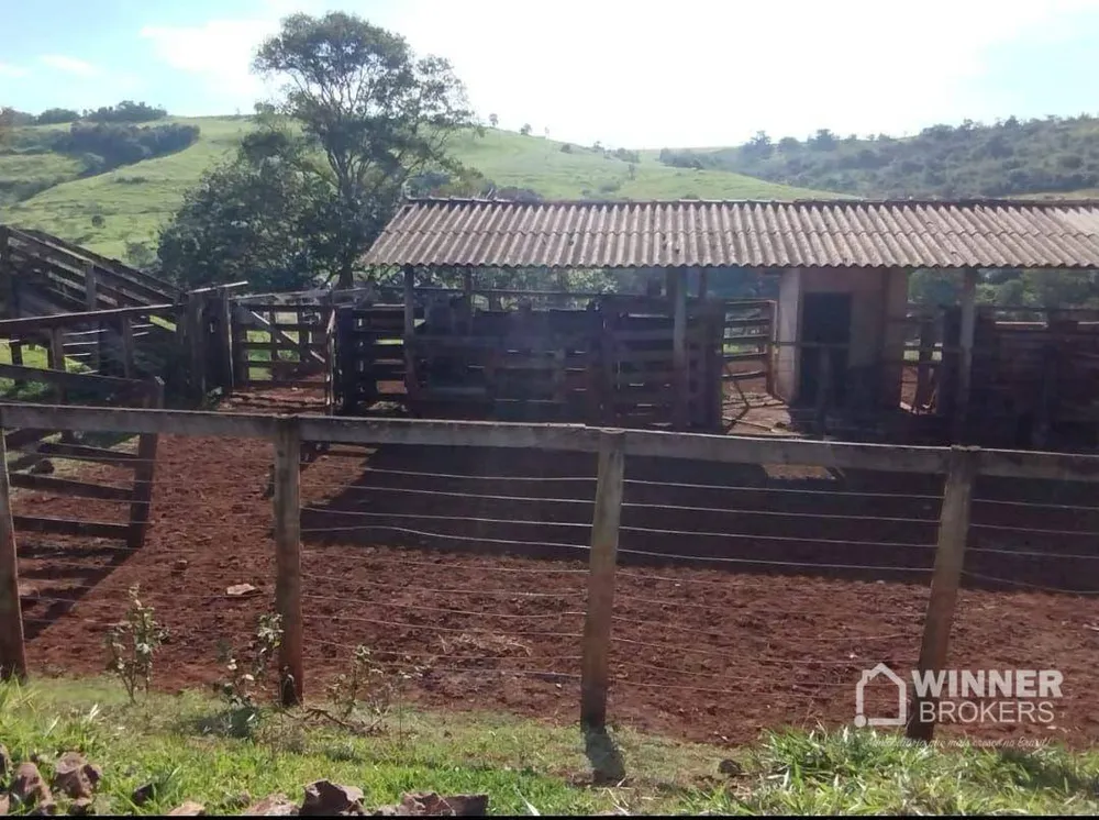 Fazenda, 95 hectares - Foto 4