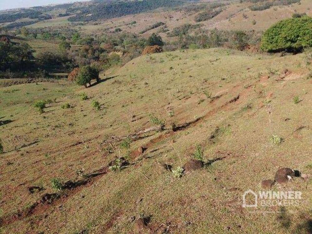Sítio, 29 hectares - Foto 4