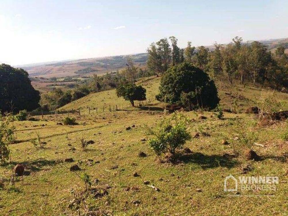 Sítio, 29 hectares - Foto 6