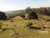Sítio, 29 hectares - Foto 1
