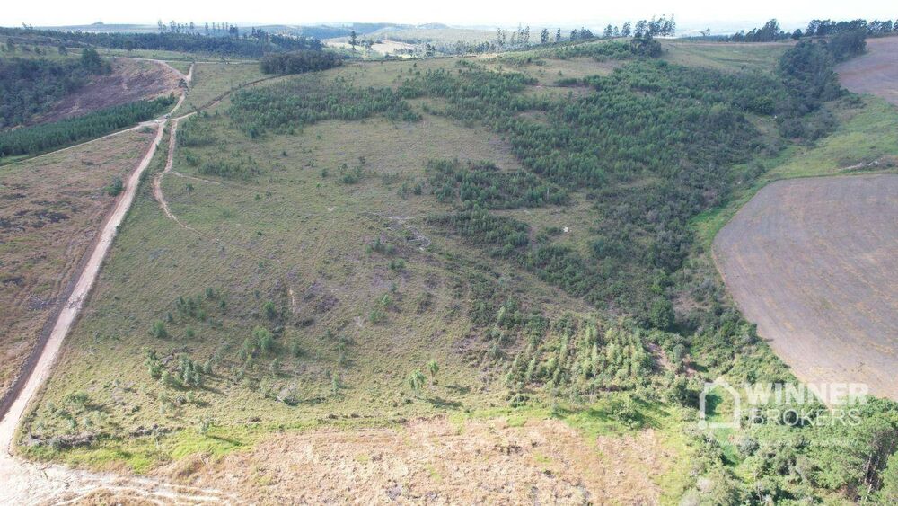 Fazenda à venda com 3 quartos, 100m² - Foto 6