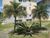 Apartamento, 2 quartos, 44 m² - Foto 10