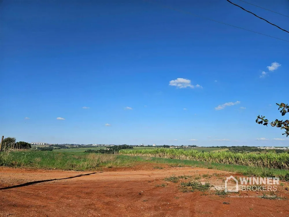 Chácara, 1 quarto, 2500 m² - Foto 4