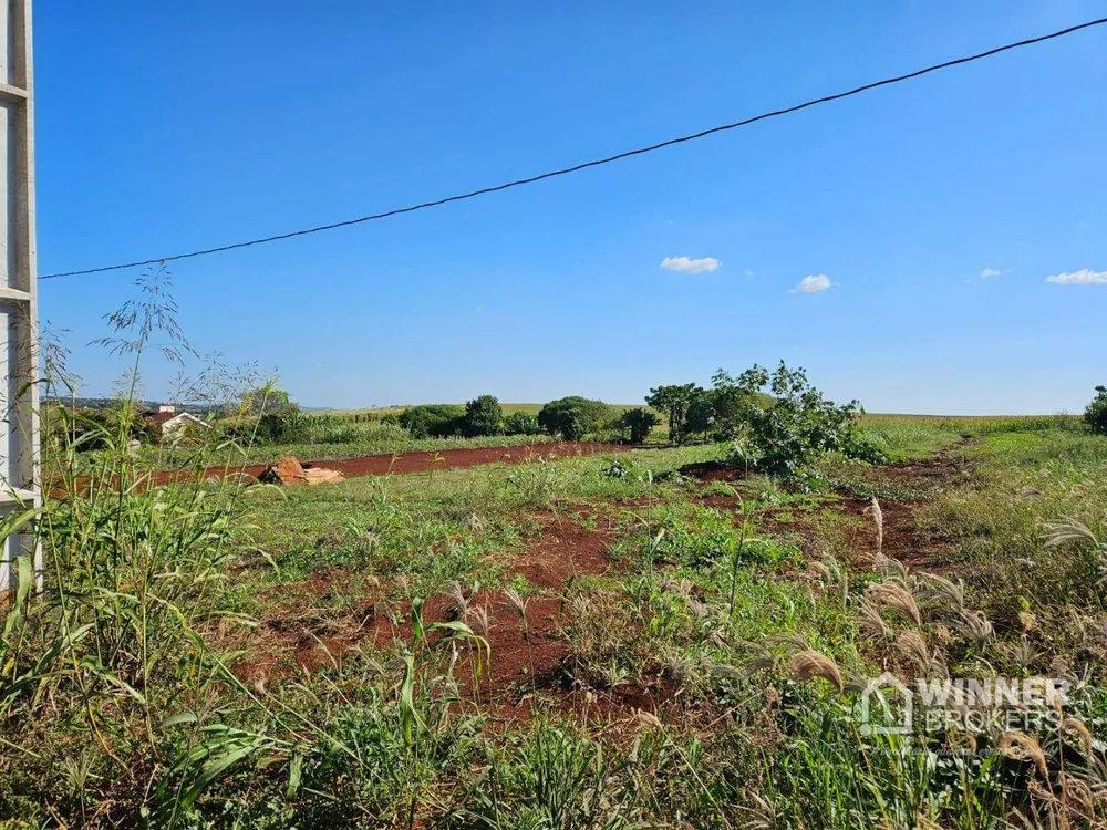 Chácara, 1 quarto, 2500 m² - Foto 2