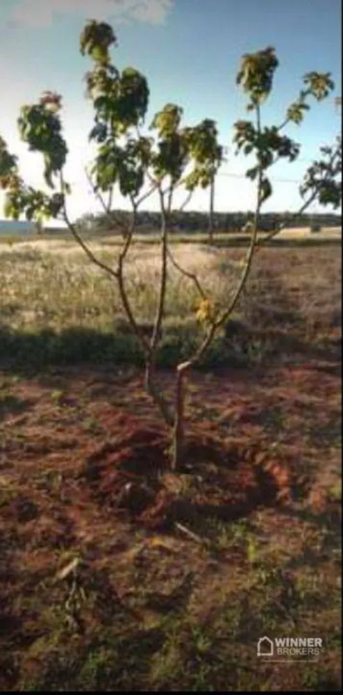 Terreno, 600 m² - Foto 4