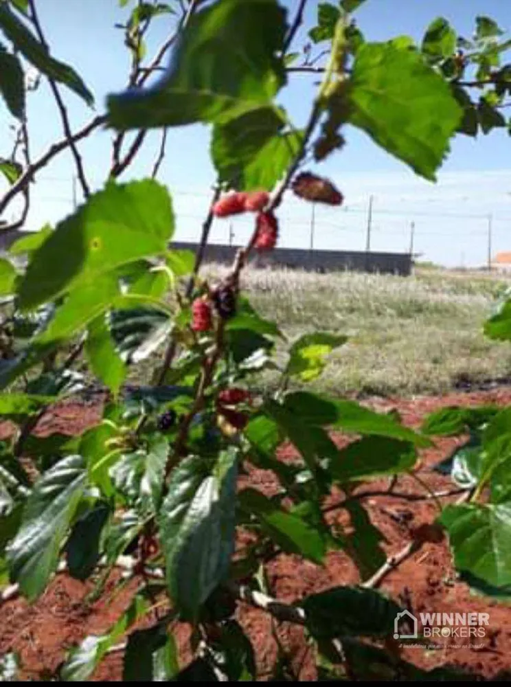 Terreno, 600 m² - Foto 5