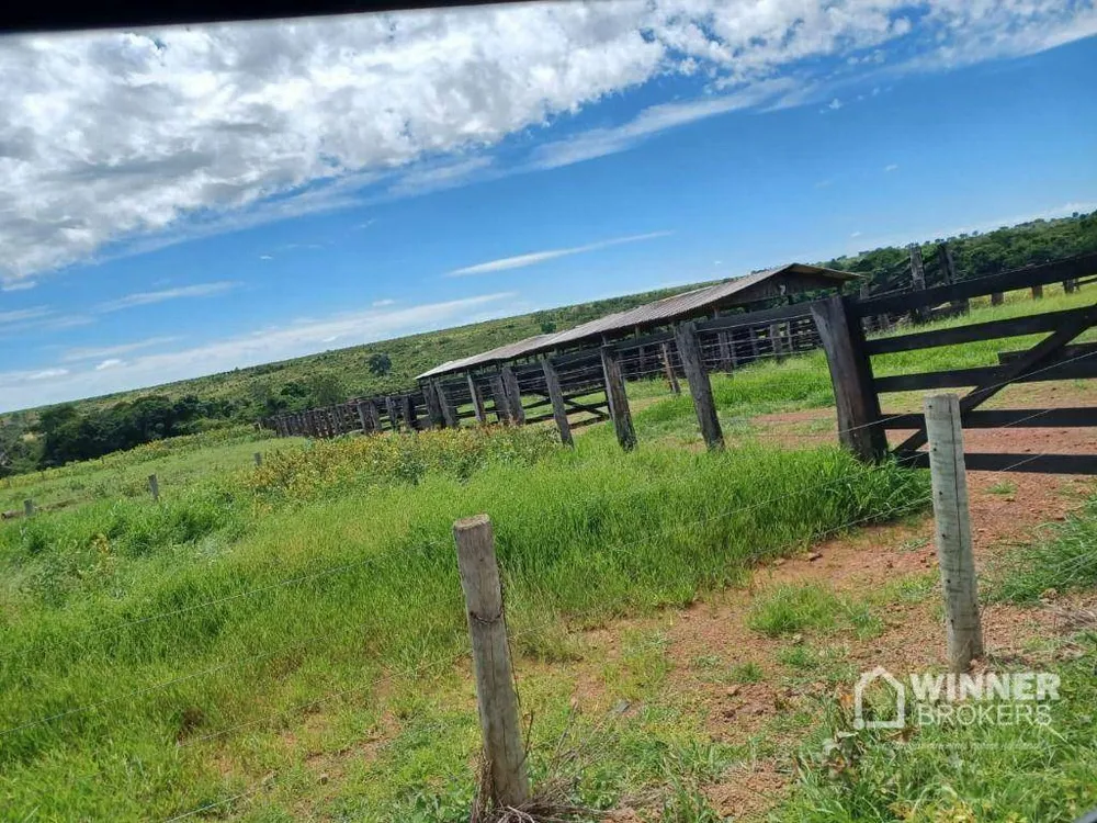 Fazenda, 2208 hectares - Foto 8