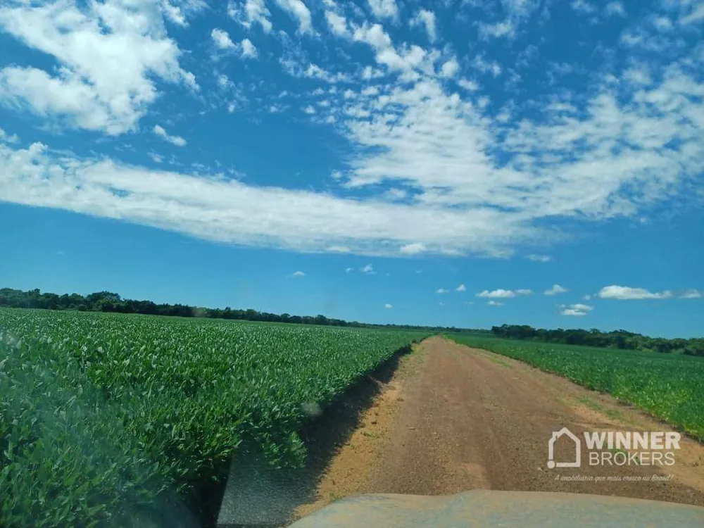 Fazenda, 2208 hectares - Foto 6
