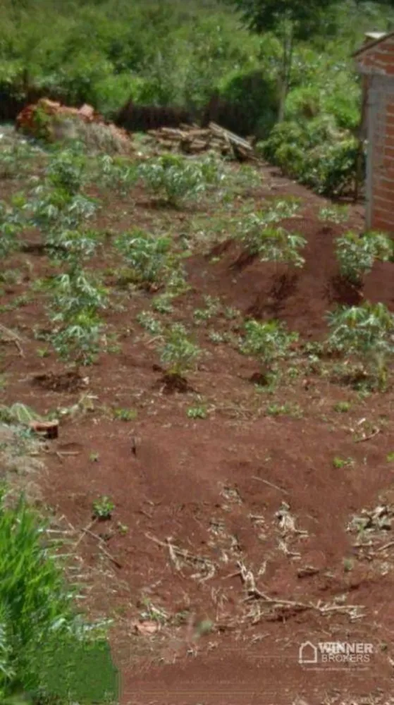 Terreno, 250 m² - Foto 4