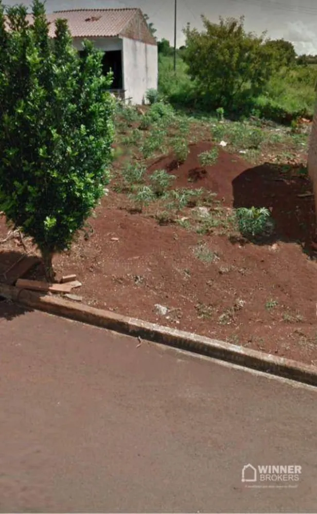 Terreno, 250 m² - Foto 2