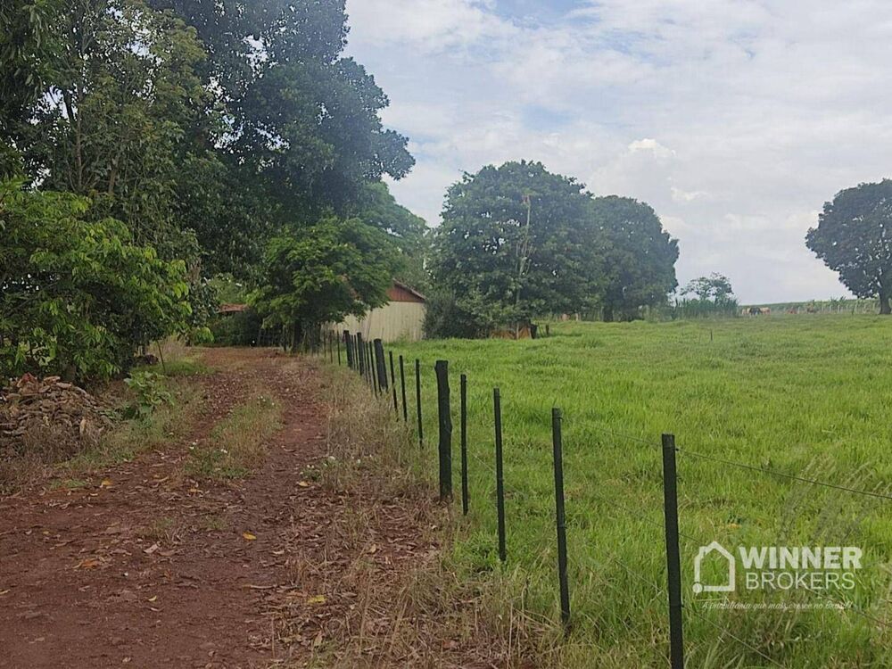 Sítio à venda com 2 quartos, 70m² - Foto 4