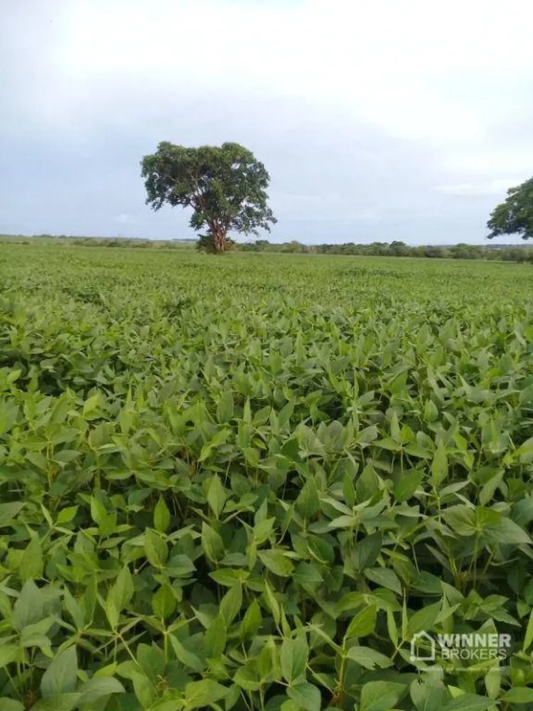 Fazenda, 104 hectares - Foto 2